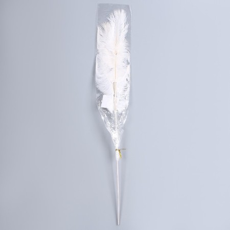 Decor of feathers "Fountain" on the leg, height - 68 cm-6
