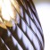 LILY LILY 9122-201727 40W