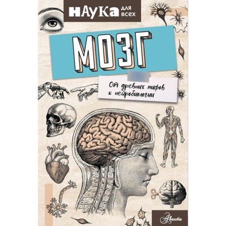 "Brain. From ancient myths to neurobiology ”, Rooney E.
