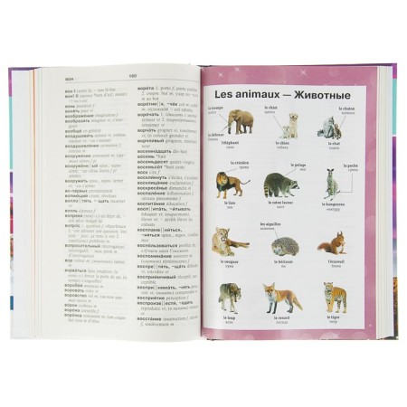 Dictionary. French-Russian Russian-French dictionary for schoolchildren-3