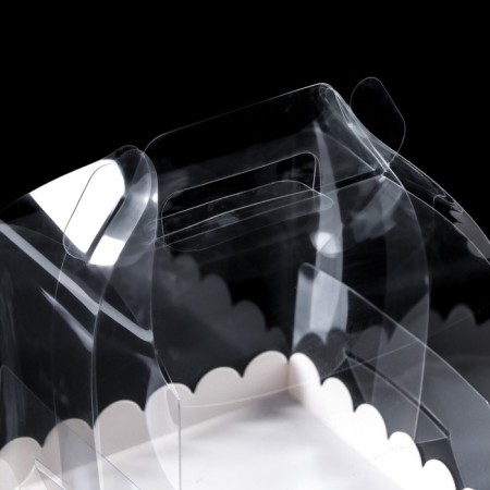 PVC Botto-Torte box 14 x 14 x 12 cm-2