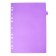 A4 sheet separator (245 x 305 mm), color, 12 sheets, "Devente. Marandi" polypropylene 140 microns, individual packaging