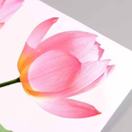 Stick 3D Interior lotus 110*60cm-2