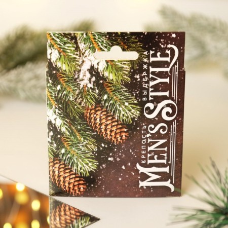 Fragrances in the car "Fortress and endurance", black ice, winter freshness, tangerine (set 3 pcs)-6