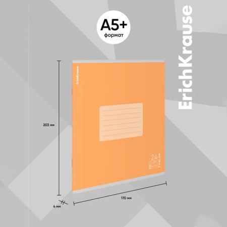 Notebook 24 sheets in a ruler, erichkrause "fineline", cover covering cardboard, matte lamination, an offset block 100% whiteness, mix-12