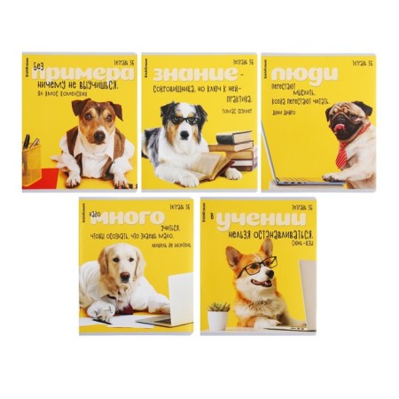 Notebook of 36 sheets in the Erichkrause Cage "Scientific Dogs", cover Combined Cardboard, Offset Block, Mix