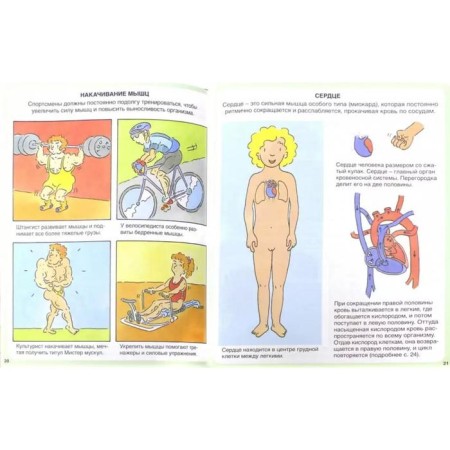 Encyclopedia. The human body-1