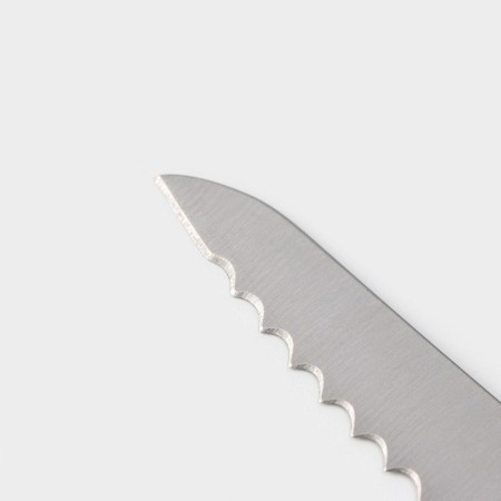 A set of kitchen knives on the ardone stand, 7 objects: 5 knives, musat and scissors, chrome color-4