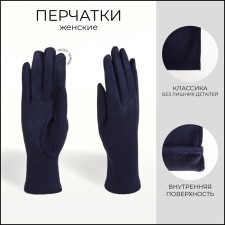 Gloves are female, dimensionless, without insulation, blue color
