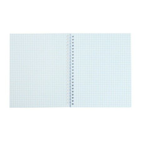 A notebook of 96 sheets in a cage on the crest "Gold. Metallic", a boumvinyl cover, an offset unit-1