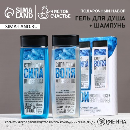 Gift set, shower gel and hair shampoo, 2 x 250 ml, new year