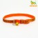 Collar "chic", 33 x 1 cm, orange