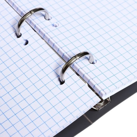 Notebook on rings A5 120 sheets in Calligrata cage gray, plastic cover, offset unit-6