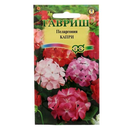 Seeds of indoor flowers Pelargonium "Capri", F2, 4 pcs.