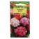 Seeds of indoor flowers Pelargonium "Capri", F2, 4 pcs.