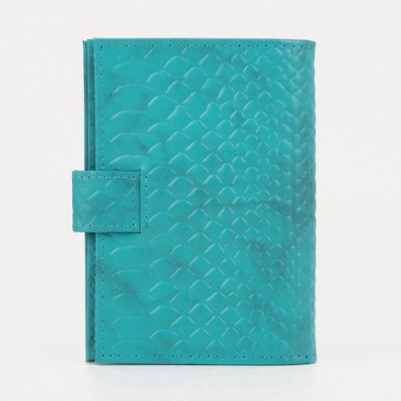 Cover for auto documents on the button, the color is turquoise-1
