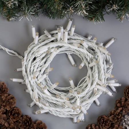 Garland "thread" 10 m, IP65, UMS, white thread, 100 led, glow blue, 220 V-1