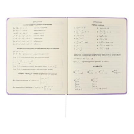 Universal diary for grade 1-11 Lovely Girl, solid cover, artificial leather, foam rubber, silk-screen printing, liesse, 80 g/m2-7