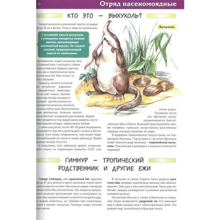 Children's Encyclopedia. Animals. Rublev S.V.-5