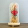 Nightlight "Rosa flask in the bouquet" LED 3AA MIX 23x11x11 cm Risalux