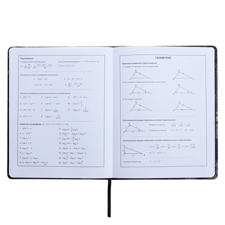 Universal Diary Grade 1-11, 48 sheets "Break the Rules", a solid cover of artificial leather, lies, an offset unit-11