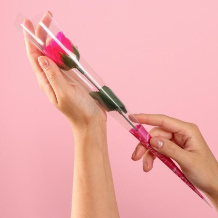 Soap rose, fuchsia