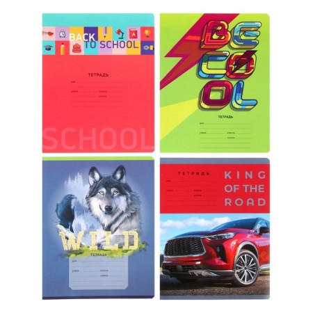 Notebook 12 sheets in the "Boys" line, covered Cardboard, OFSET block, mix