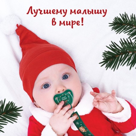 Holder for the nipple - dummy "Forest Friends", New Year, on the tape, gift packaging, crumb I-1