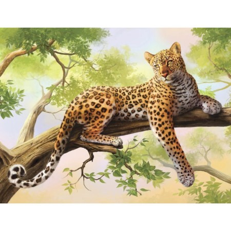 Picture on numbers on a canvas with a subframe "Leopard", 40 x 30 cm-1