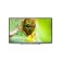 TV POLARLINE 40PL51TC 40 ", 1920x1080, DVB-T2/T/C, 3XHDMI, 2XUSB, black
