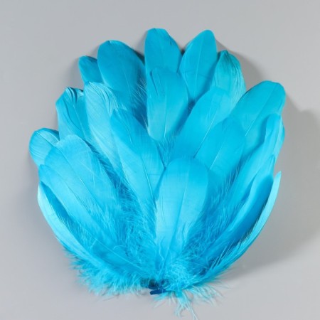 A set of feathers of the goose 13-18 cm, 20 pcs, light turquoise-1