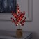 LED bush "Berries" 35 cm, 30 LED, AAX3 batteries (not included), glow warm white