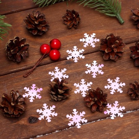 New Year's set "Snowflakes"-1