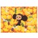 Gift box "Happy New Year!", Cheburashka and oranges, 21x15x5 cm