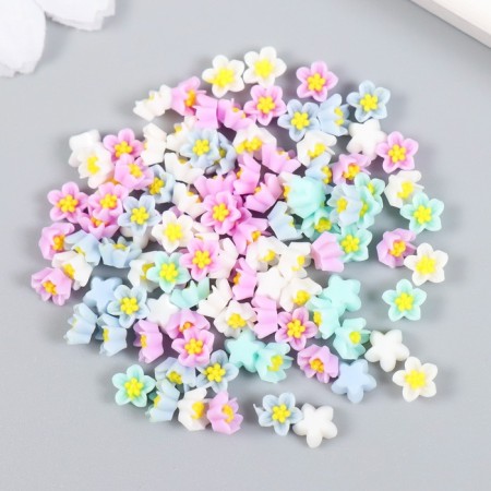 Decor for creativity Plastic "Five -Pacific" set 100 pcs mix 0.6x0.6 cm