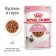 Wet feed RC Kitten Instinction for kittens, in sauce, spider, 85 g