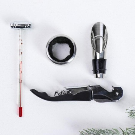 Wine set: a corkscrew for wine, aerator, cap, thermometer "wine is always a good idea"-4