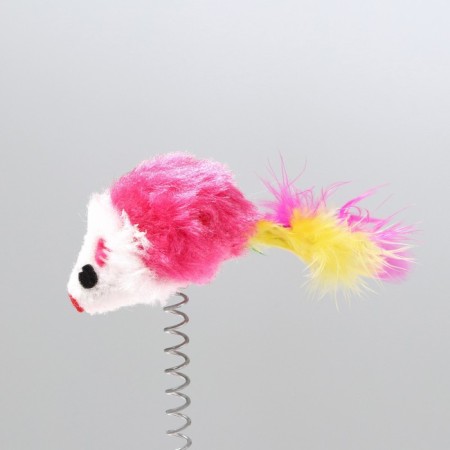 Teaser on the basis of "Koshkin Joy", 15 cm, mix of flowers-2
