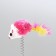 Teaser on the basis of "Koshkin Joy", 15 cm, mix of flowers