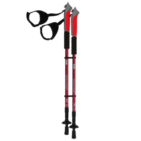 Sticks for Scandinavian walking online, telescopic, 3 sections, up to 135 cm, 2 pcs., Mix color-5