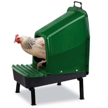 Nest for chickens of layers of plastic with an egg plate on the legs-2