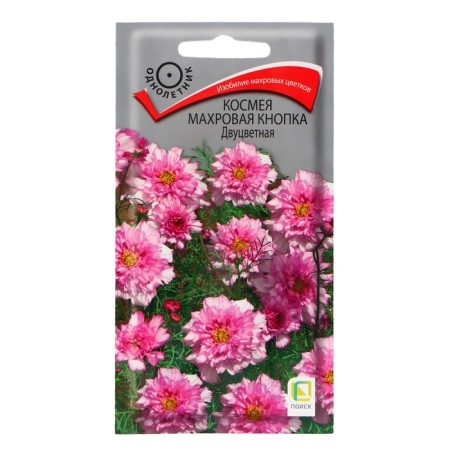 Cosmea Flowers "Terry button", two -tone, 0.1 g