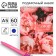 Set: Notepad A5, 60 l. And the pen "The most beautiful"