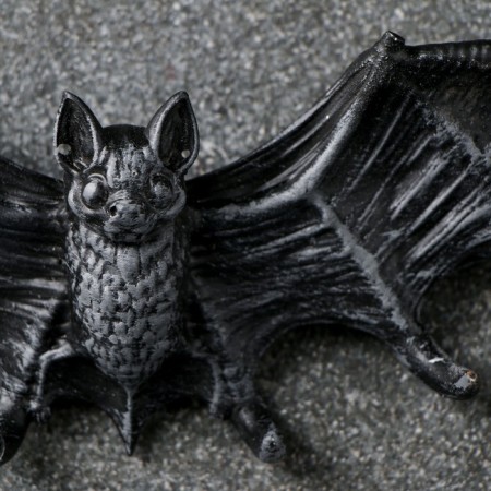 Key of the "bat"-1