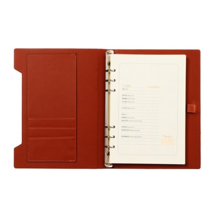 Organs on the rings, A5 format, 90 sheets, line, cover of the leather mix, with an elastic band for a handle-5