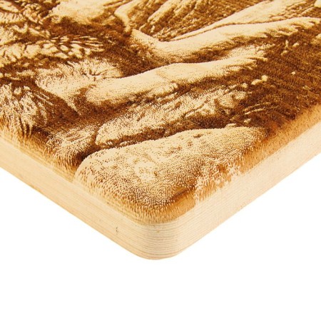 Board from the massif “wolves”, square, 18 × 18 cm-2