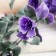 Artificial flowers "Siberian bell" 45 cm, purple