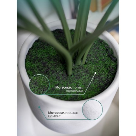 Decorative plant in the cement pot of Monster, 15 × 15 × 89 cm-2