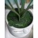 Decorative plant in the cement pot of Monster, 15 × 15 × 89 cm