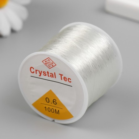 Busin fishing line 0.6 mm 100 m, transparent-1
